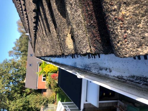 Gutter Cleaning Image